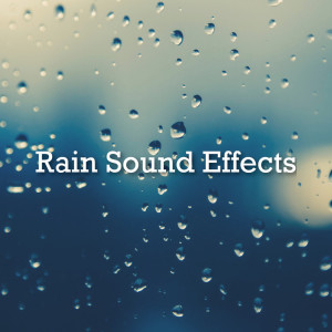 Listen to Rain song with lyrics from Rain Sounds