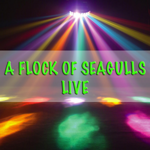 อัลบัม A Flock Of Seagulls - Live ศิลปิน A Flock Of Seagulls