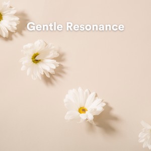 Album Gentle Resonance (Meditative Piano Landscapes) from Piano