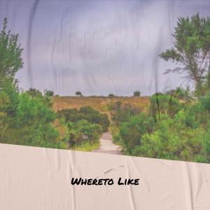 收聽Migue Perger的Negroid Cynical歌詞歌曲