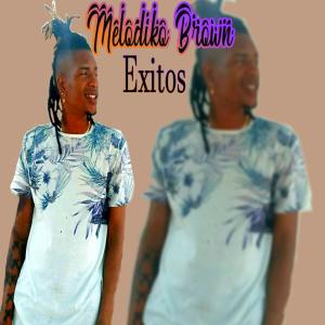 Listen to Como Hacer (Explicit) song with lyrics from Melodiko brown