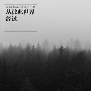 收聽L（桃籽）的從彼此世界經過歌詞歌曲