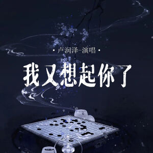 Album 我又想起你了 from 卢润泽