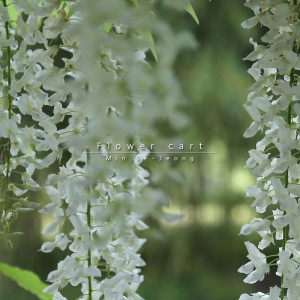 Album Flower Cart 1st from Se-Jeong Min 민세정