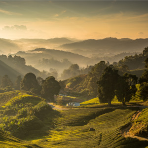 ดาวน์โหลดและฟังเพลง Dormir พร้อมเนื้อเพลงจาก Yoga Flow