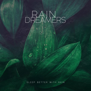 ดาวน์โหลดและฟังเพลง Sleeping Rain noise พร้อมเนื้อเพลงจาก Rain Dreamers