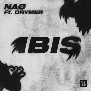 Album IBIS (Extended Mix) from NAØ