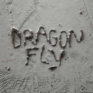 Album Dragonfly from Yubik