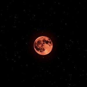 Listen to Лети song with lyrics from MIRTRUDMY