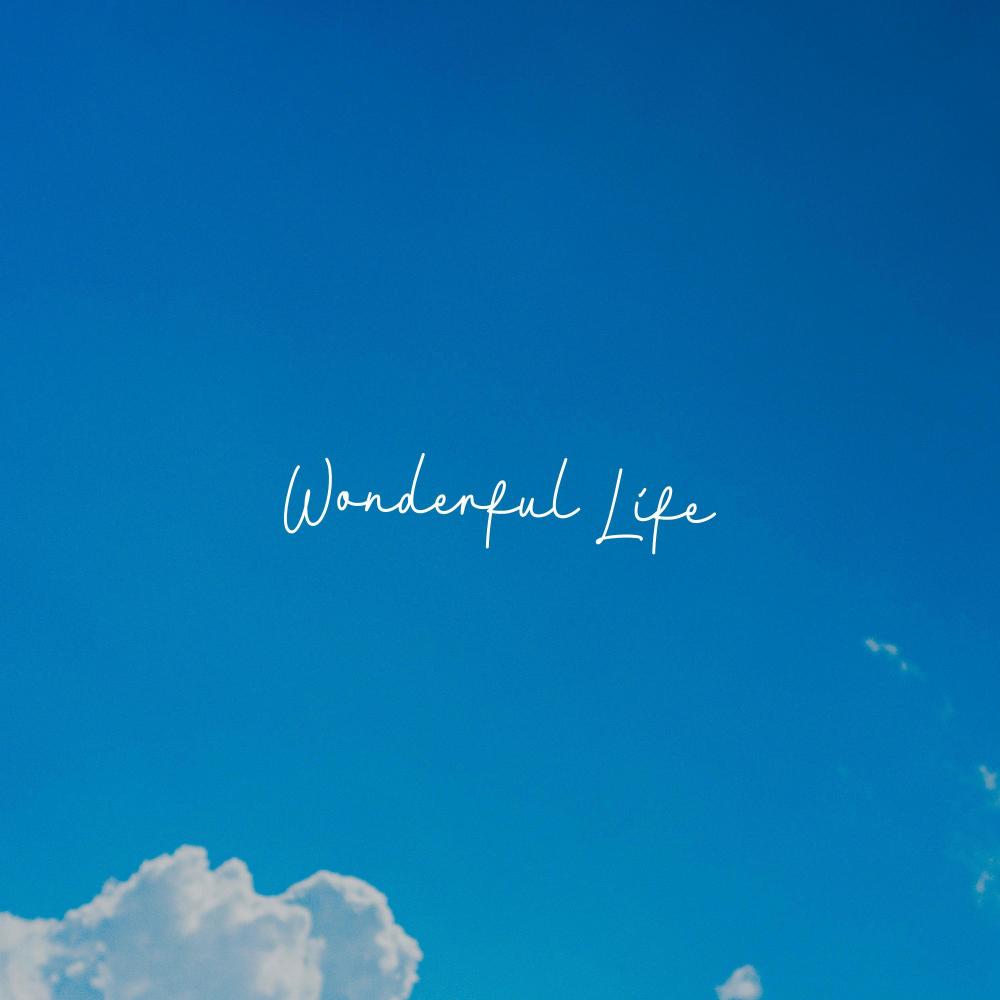 Wonderful Life (feat. John Skyfield)