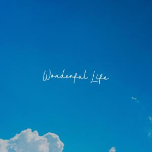 Dominic Donner的專輯Wonderful Life (feat. John Skyfield)