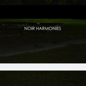 อัลบัม Noir Harmonies ศิลปิน Nttwxrk