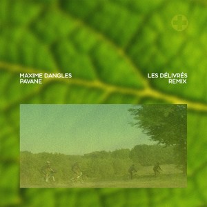 Album Operate (PAVANE Remix) from Maxime Dangles