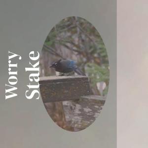 Listen to Worry Stake song with lyrics from Wily Miek