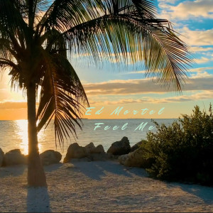 Listen to Feel Me song with lyrics from Ed Mortel