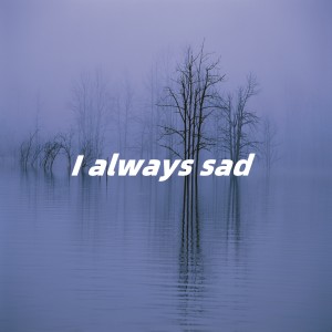 Dxy的专辑I always sad