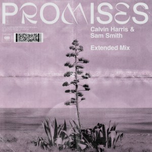 ดาวน์โหลดและฟังเพลง Promises (Extended Mix) พร้อมเนื้อเพลงจาก Calvin Harris