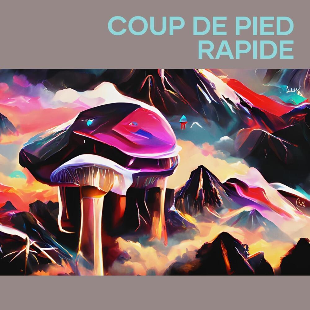 Coup de pied rapide