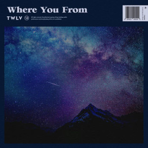 Listen to Where You From song with lyrics from TWLV
