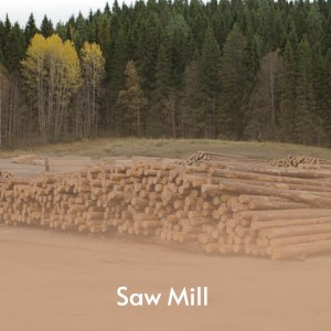 Album Saw Mill (Explicit) oleh Various