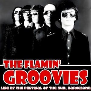 ดาวน์โหลดและฟังเพลง I Can't Ride (Live) พร้อมเนื้อเพลงจาก The Flamin' Groovies
