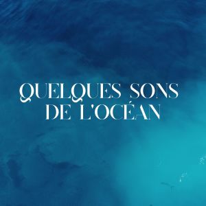 Listen to Quelques sons de l'océan, pt. 28 song with lyrics from Quelques sons de l'océan