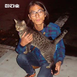 Listen to Someday song with lyrics from 파라솔