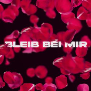 ดาวน์โหลดและฟังเพลง Bleib Bei Mir พร้อมเนื้อเพลงจาก DJ Request