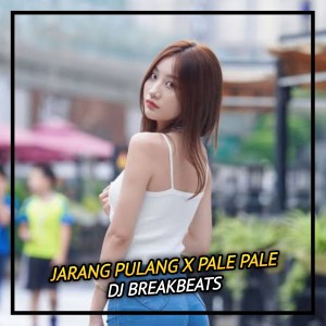 Dengarkan Jarang Pulang / Pale Pale lagu dari DJ Breakbeats dengan lirik