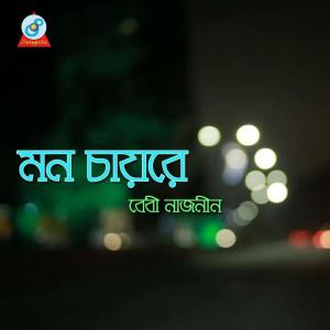 Listen to Dokhina Batashe song with lyrics from Baby Naznin