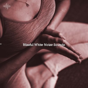 收听White Noise的White Noise Theta Waves歌词歌曲