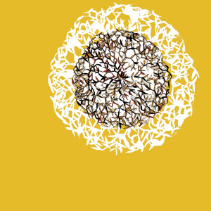 收聽Ida的See the Stars (Cd)歌詞歌曲