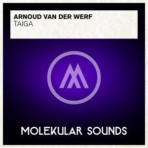 อัลบัม Taiga ศิลปิน Arnoud van der Werf