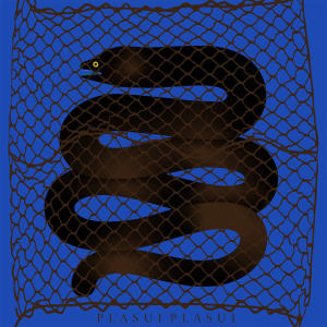 default album img