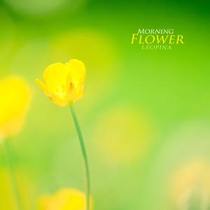 Leopina的专辑Morning Flower