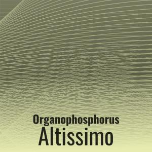 Listen to Organophosphorus Altissimo song with lyrics from Kada Maudy