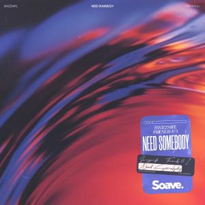 Album Need Somebody oleh Swizznife