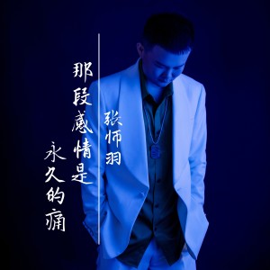 Album 那段感情是永久的痛 from 张师羽