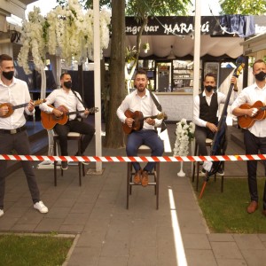 Album Suđena oleh Ts Ringišpil