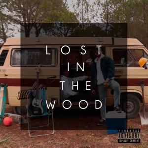 收聽Doble的Lost In The Woods (Explicit)歌詞歌曲
