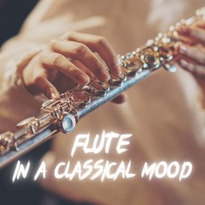 Album Flute in a Classical Mood from Paul Angerer