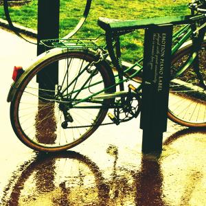 Album The scenery of a rainy day from 하늘아름