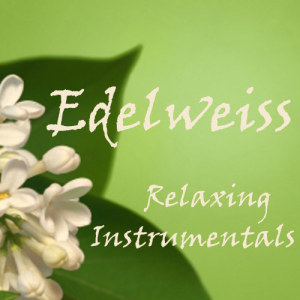 收聽Relaxing Instrumentals的Edelweiss歌詞歌曲