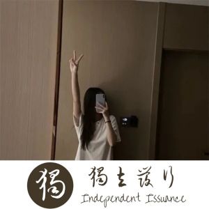 Album 时空伴随者 from DJ张总