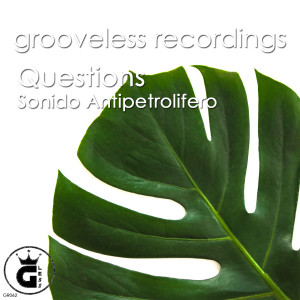 Album Questions (Sunset Mix) from Sonido Antipetrolifero