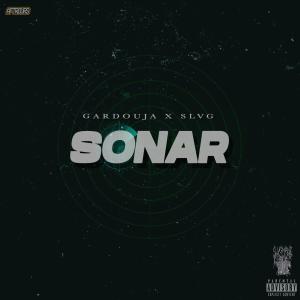Gardouja的專輯SONAR (Explicit)