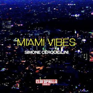 Listen to Miami Vibes song with lyrics from Simone Cerquiglini