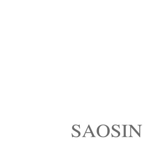 Saosin的专辑Translating the Name