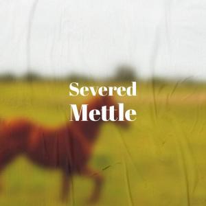 Various Artists的專輯Severed Mettle