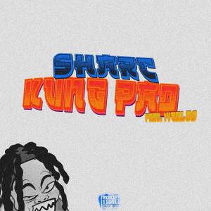 Sharc的專輯kung pao (Explicit)